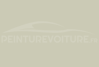 Code peinture Peugeot 1096 Ivoire Djibouti