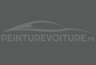 Code peinture Opel 10D Eisengrau (iron Grey)