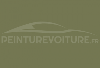 Code peinture Ral Design System 110 50 20 Green