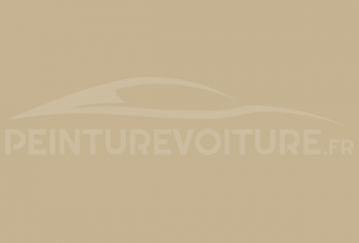 Code peinture Renault-Saviem (Vi) 1101 Beige