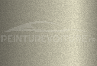 Code peinture Great Wall 1102B  Champagne Silver