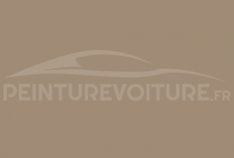 Code peinture Renault 1105 Beige Europe