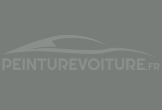 Code peinture Mitsubishi 11061 Grey