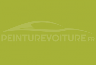 Code peinture Ral Design System 110 70 60 Acid Green