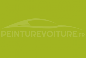 Code peinture Ral Design System 110 70 70 Green