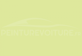 Code peinture Ral Design System 110 90 40 Light Green