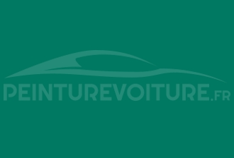 Code peinture Mitsubishi AC11111 Green