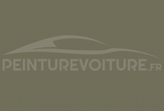 Code peinture Fiat 1125 Grigio Acciaio