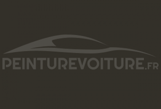 Code peinture Fiat 1130 Grigio Svedese