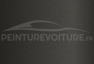 Code peinture Renault 1130 Gris Chassis