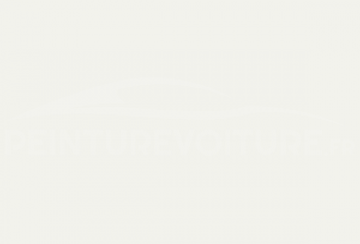 Code peinture Peugeot 1132 Blanc Arosa