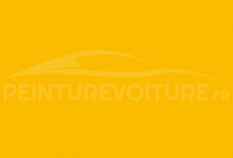 Code peinture Renault-Saviem (Vi) 11324 Jaune