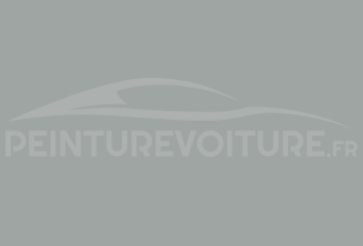 Code peinture Peugeot 1137 Gris