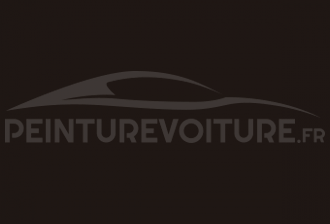 Code peinture Fiat 116 Marrone Parioli