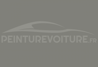 Code peinture Toyota 117 Steel Grey