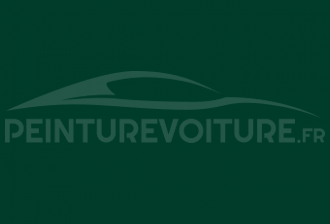 Code peinture Renault 11956 Vert Rfa