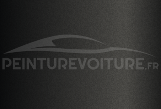 Code peinture Toyota 11BK12 Grey