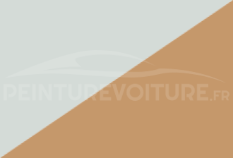 Code peinture Nissan 11D Qv1 + A18