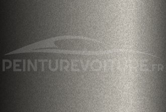 Code peinture Toyota 11GY06 Grey