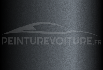 Code peinture Toyota 11GY21 Dark Grey