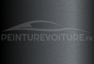 Code peinture Toyota 11GY44 Gray