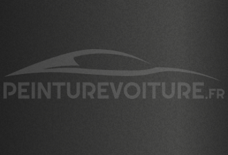 Code peinture Lexus 11GY60 Grey