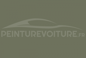 Code peinture Ral Design System 120 50 10 Green (samtgrungrau)