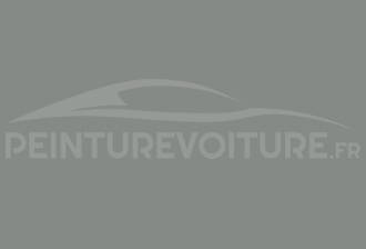 Code peinture Citroen 121 Gris Clair