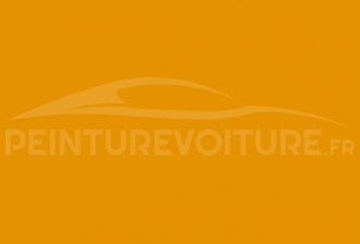 Code peinture Renault 12327 Jaune