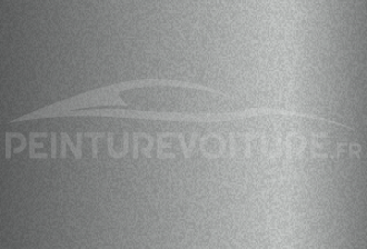 Code peinture General Motors (USA) 12U-9824 Silver