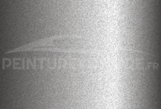 Code peinture General Motors (USA) 13-454G Light Silver