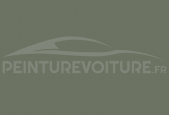 Code peinture Ral Design System 130 50 10 Verde