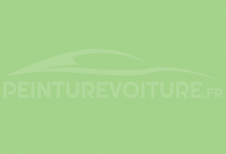 Code peinture Ral Design System 130 80 40 Verde Chiaro