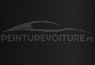 Code peinture Aston Martin 1344 Meteorite Silver