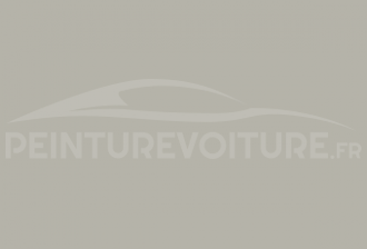 Code peinture Citroen AC 135 Gris