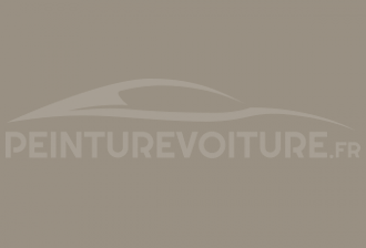 Code peinture Toyota 135 Taupe Grey