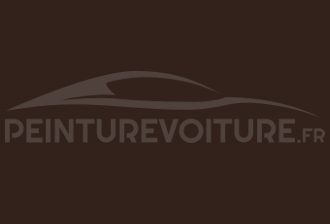 Code peinture Volvo 138 Braun