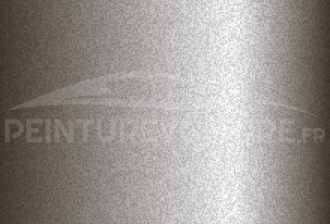 Code peinture Toyota 139 Silver