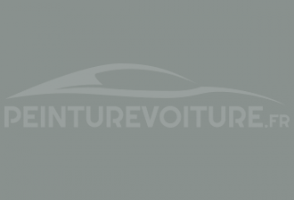 Code peinture Toyota 1393 Asteroid Grey