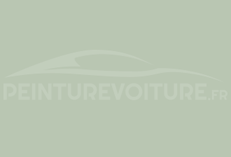 Code peinture Ral Design System 140 80 10 Light Green