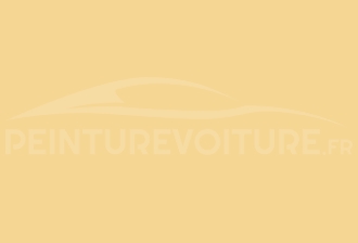 Code peinture Peugeot 1417 Jaune Forsythia
