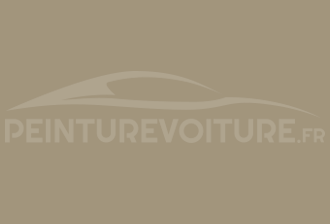 Code peinture Mercedes 1420 Schnurbeige