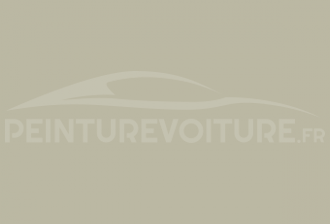 Code peinture Citroen AC 146 Gris Moulette