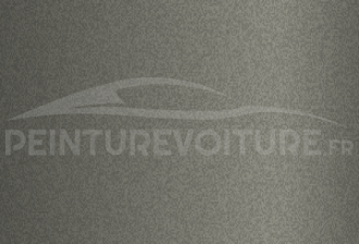 Code peinture Toyota 153 Warm Gray