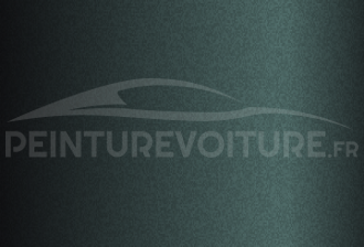 Code peinture Tvr 155 Ash Green
