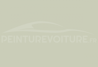 Code peinture Peugeot 1593 EQR Vert Savane