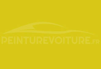 Code peinture Suzuki 15V Lovely Yellow