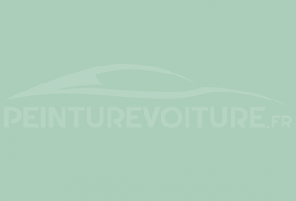 Code peinture Ral Design System 160 80 15 Light Green