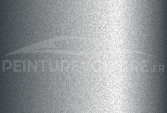 Code peinture Toyota 160 Bluish Silver