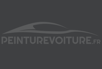 Code peinture Renault-Saviem (Vi) 1602 Gris